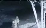 حمله پلنگ به سگ خانگی در بهارخواب یک خانه! + فیلم